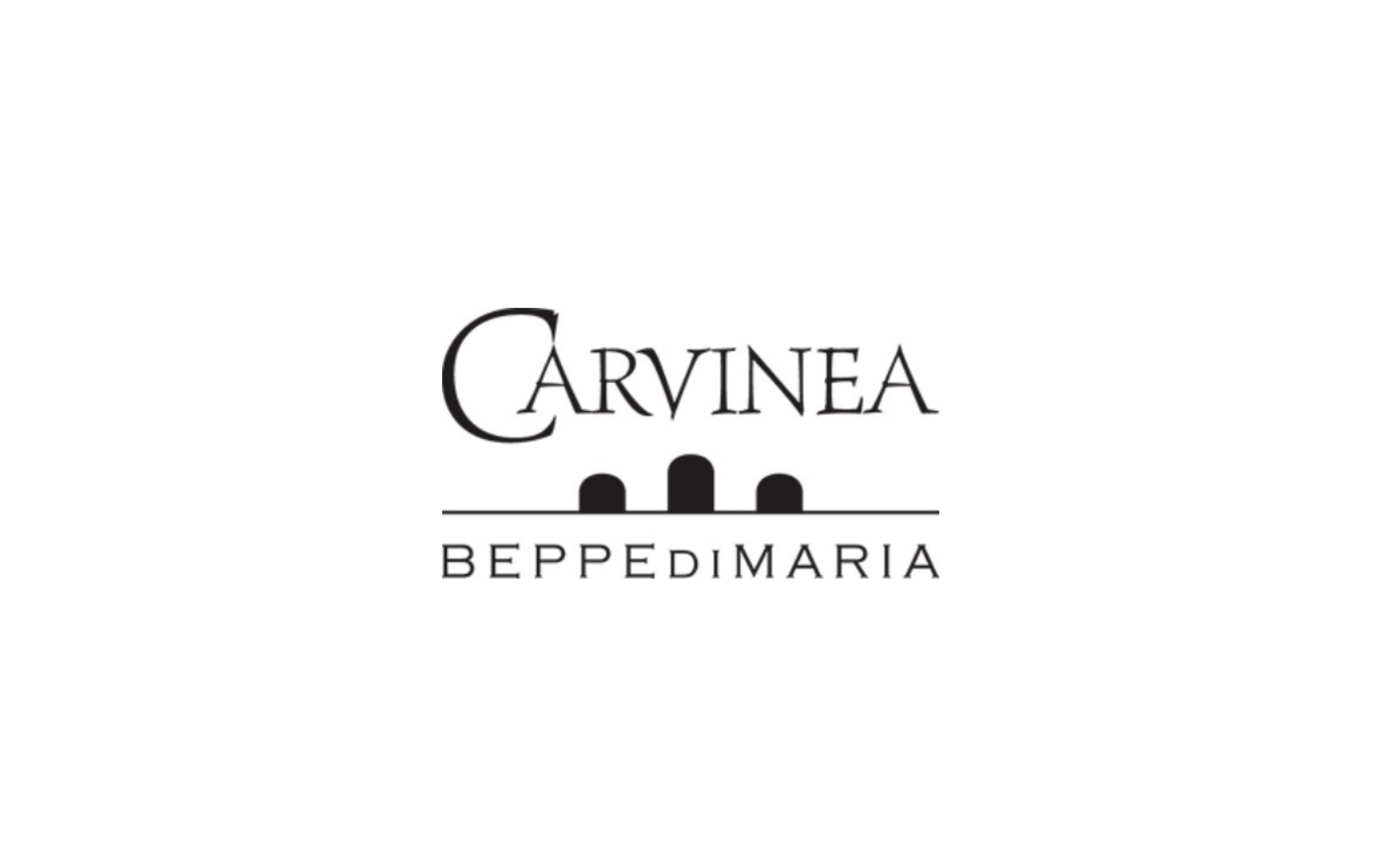 logo CARVINEA